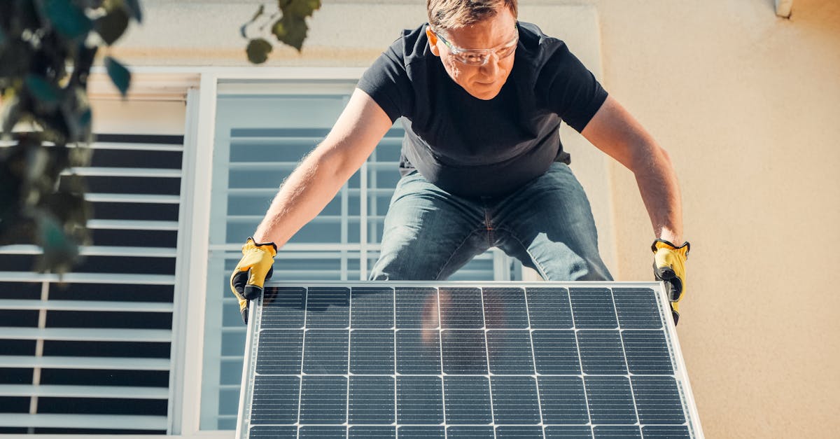 découvrez la capacité de charge écologique, un concept clé qui mesure la capacité d'un environnement à soutenir une population sans compromettre sa santé et ses ressources. explorez son importance pour la durabilité et la préservation de notre planète.