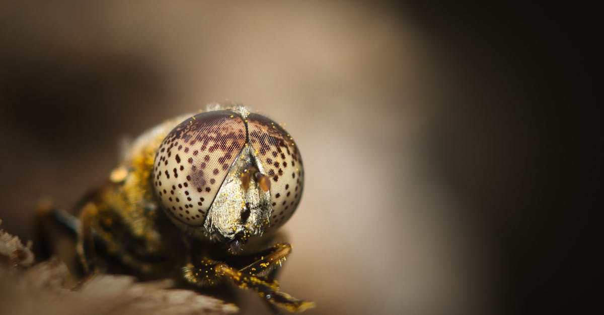 découvrez les enjeux de l'effondrement écologique et ses conséquences sur notre planète. explorez les causes profondes, les impacts sur la biodiversité et les solutions pour préserver notre environnement. engagez-vous pour un avenir durable.