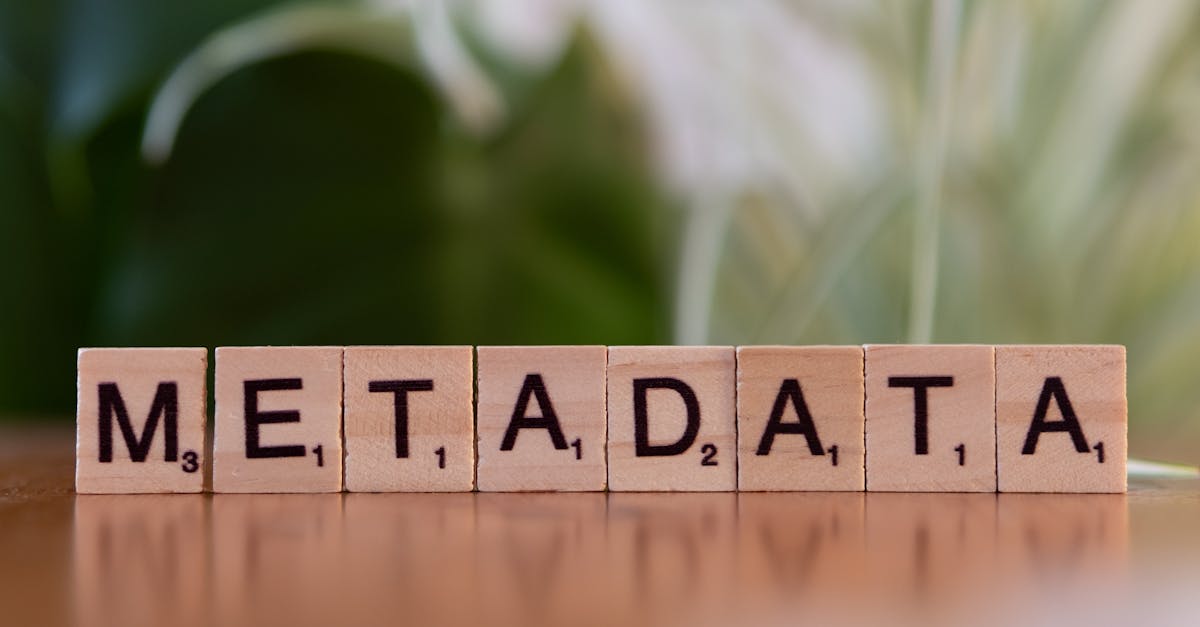 découvrez comment un système de gestion environnementale (sge) peut aider votre entreprise à minimiser son impact écologique, à améliorer sa performance durable et à se conformer aux réglementations environnementales. adoptez des pratiques responsables pour un avenir plus vert.