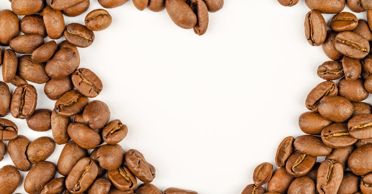 découvrez le commerce équitable : un modèle qui privilégie des relations commerciales justes, soutient les producteurs dans les pays en développement et favorise un développement durable. engagez-vous pour un monde plus équitable en choisissant des produits issus du fair trade.