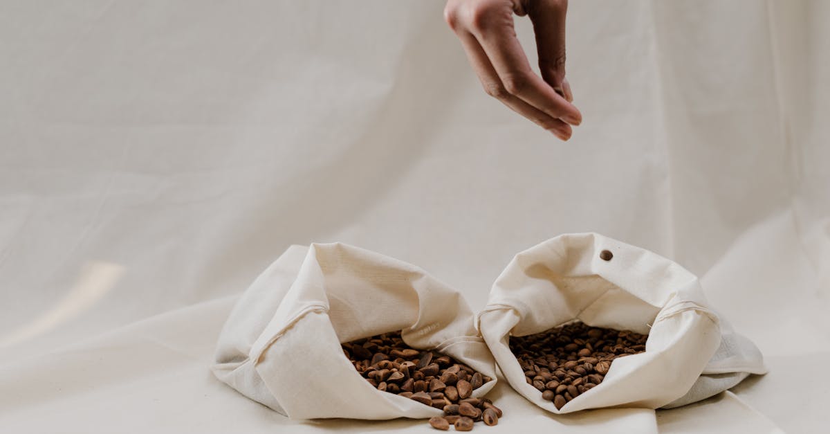 découvrez le commerce équitable : une alternative responsable et éthique pour soutenir les producteurs, garantir des conditions de travail justes et promouvoir le développement durable tout en savourant des produits de qualité.