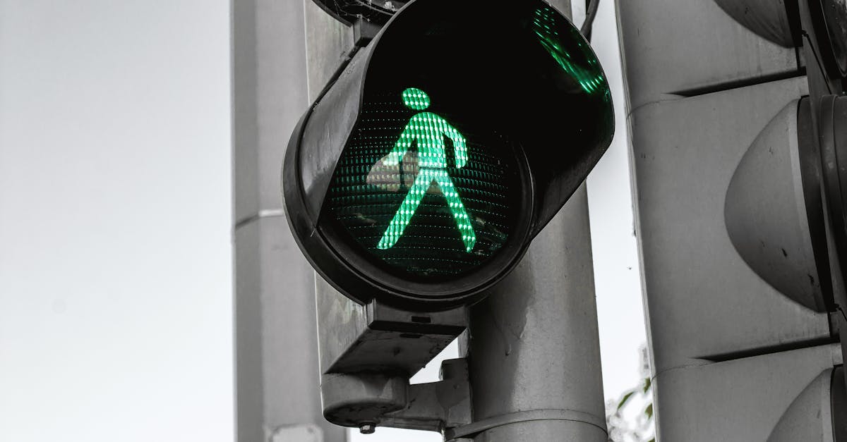 découvrez les infrastructures vertes : une approche innovante pour allier durabilité et urbanisme. apprenez comment ces solutions éco-responsables préservent l'environnement tout en améliorant la qualité de vie en ville.