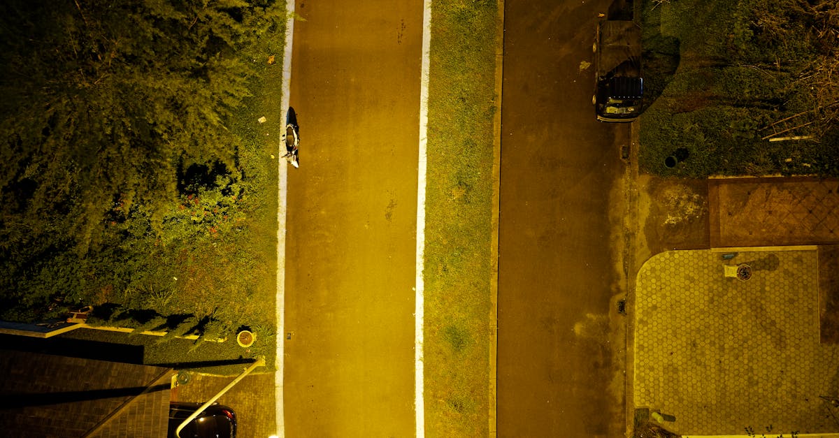 découvrez l'importance des infrastructures vertes pour un développement durable. apprenez comment elles contribuent à l'amélioration de la biodiversité, à la gestion des eaux pluviales et au bien-être des citoyens tout en luttant contre le changement climatique.