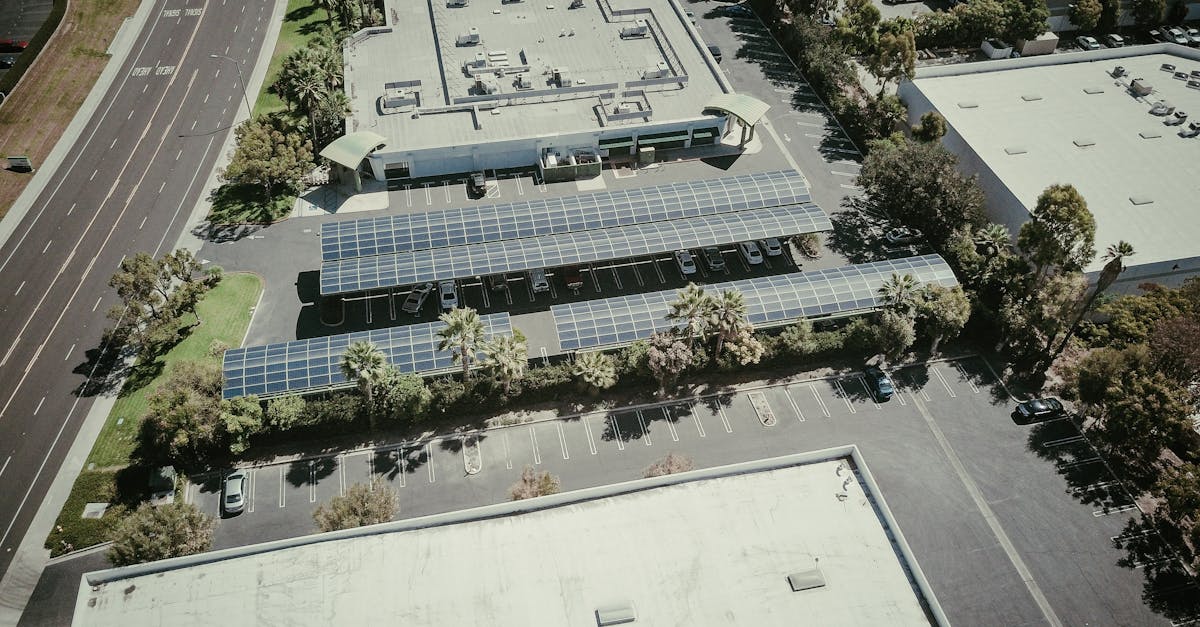 découvrez l'infrastructure verte, une solution innovante et durable pour la gestion environnementale, alliant biodiversité, gestion des eaux pluviales et amélioration de la qualité de vie en milieu urbain.