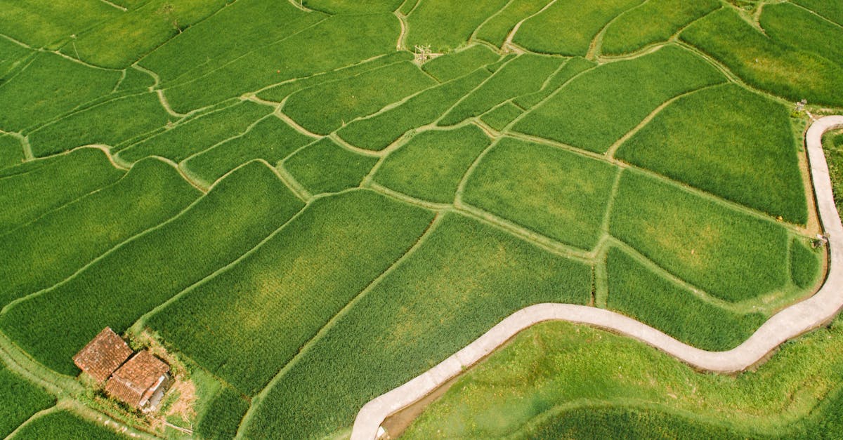 découvrez les enjeux de l'utilisation des terres, un domaine clé qui impacte l'environnement, l'agriculture et l'urbanisation. apprenez comment des pratiques durables peuvent contribuer à un développement harmonieux de nos ressources naturelles.