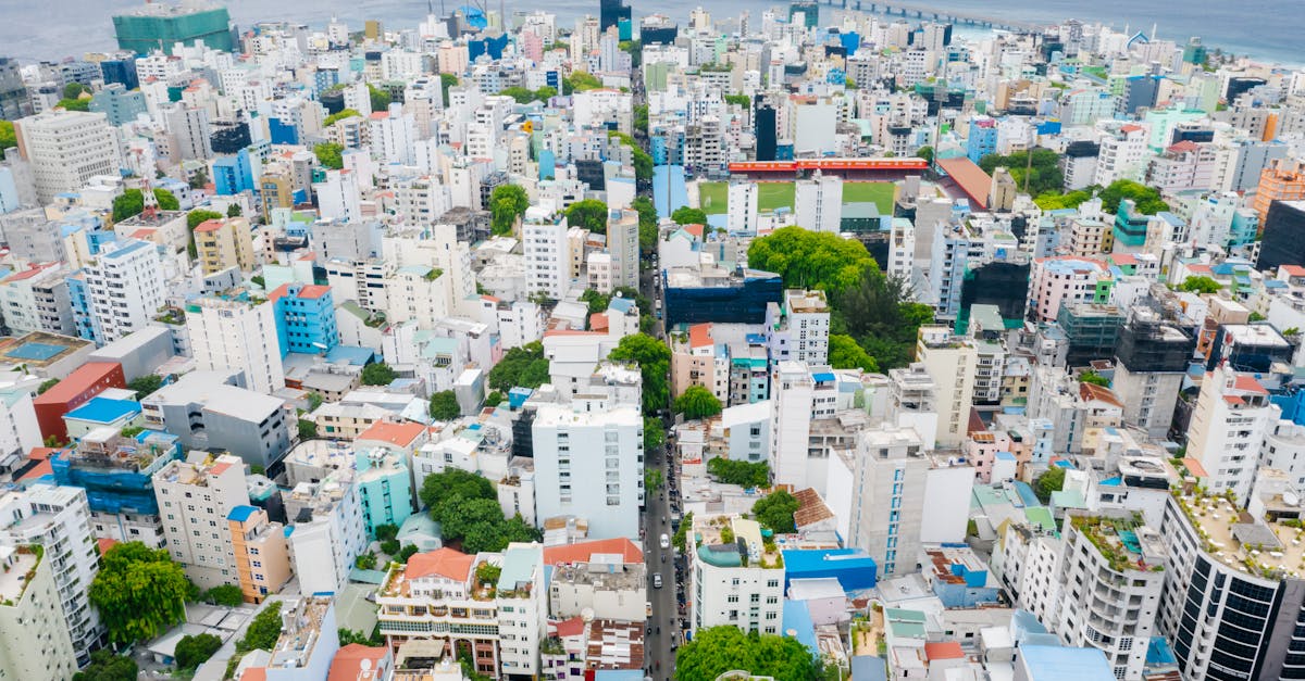 découvrez l'importance de l'utilisation des terres, ses impacts sur l'environnement et les collectivités, ainsi que les stratégies pour une gestion durable des ressources. explorez les enjeux liés à l'urbanisation, l'agriculture et la conservation des écosystèmes.