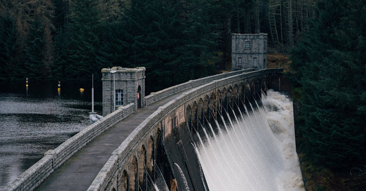 découvrez l'importance des ressources naturelles pour notre planète et notre économie. explorez les différents types de ressources, leur gestion durable et leur impact sur l'environnement. informez-vous sur les initiatives pour préserver ces précieuses richesses afin de garantir un avenir durable.