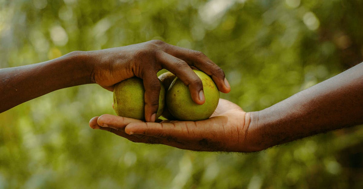 découvrez l'économie du partage, un modèle innovant qui favorise la collaboration et l'utilisation optimale des ressources. explorez les différentes plateformes et services qui permettent de partager des biens et des services, tout en réduisant les coûts et l'impact environnemental.