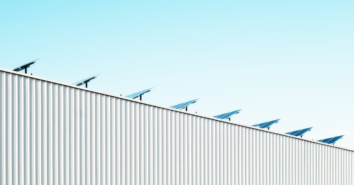 découvrez les enjeux de la durabilité et comment adopter un mode de vie respectueux de l'environnement. explorez des astuces et des solutions écoresponsables pour un avenir durable.