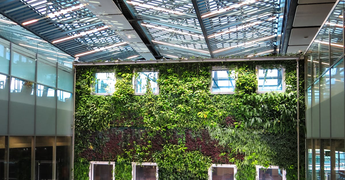 découvrez l'architecture durable, une approche innovante qui allie esthétique et respect de l'environnement. apprenez comment les matériaux écologiques et les techniques de construction durable contribuent à un avenir meilleur tout en créant des espaces de vie harmonieux.