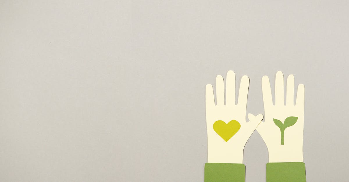 découvrez des conseils pratiques et des idées innovantes pour adopter un mode de vie durable, réduire votre empreinte écologique et contribuer à la protection de notre planète. transformez votre quotidien en intégrant des habitudes éco-responsables !