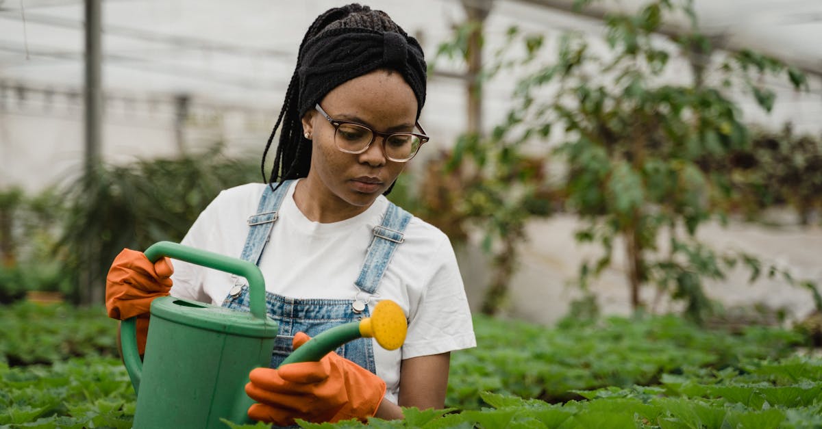 découvrez l'agriculture urbaine, une pratique innovante qui permet de cultiver des aliments frais en milieu urbain. explorez les avantages écologiques, sociaux et économiques de cette méthode durable qui transforme nos villes en jardins. apprenez comment participer à la recherche d'une alimentation locale et responsable tout en embellissant votre environnement.
