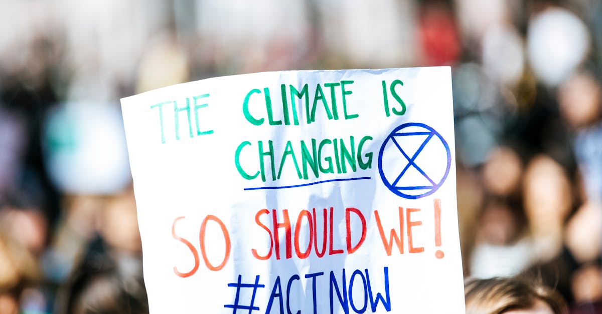 découvrez les enjeux du changement climatique, ses impacts sur notre planète et les solutions durables pour un avenir meilleur. informez-vous sur les actions à entreprendre pour préserver notre environnement.