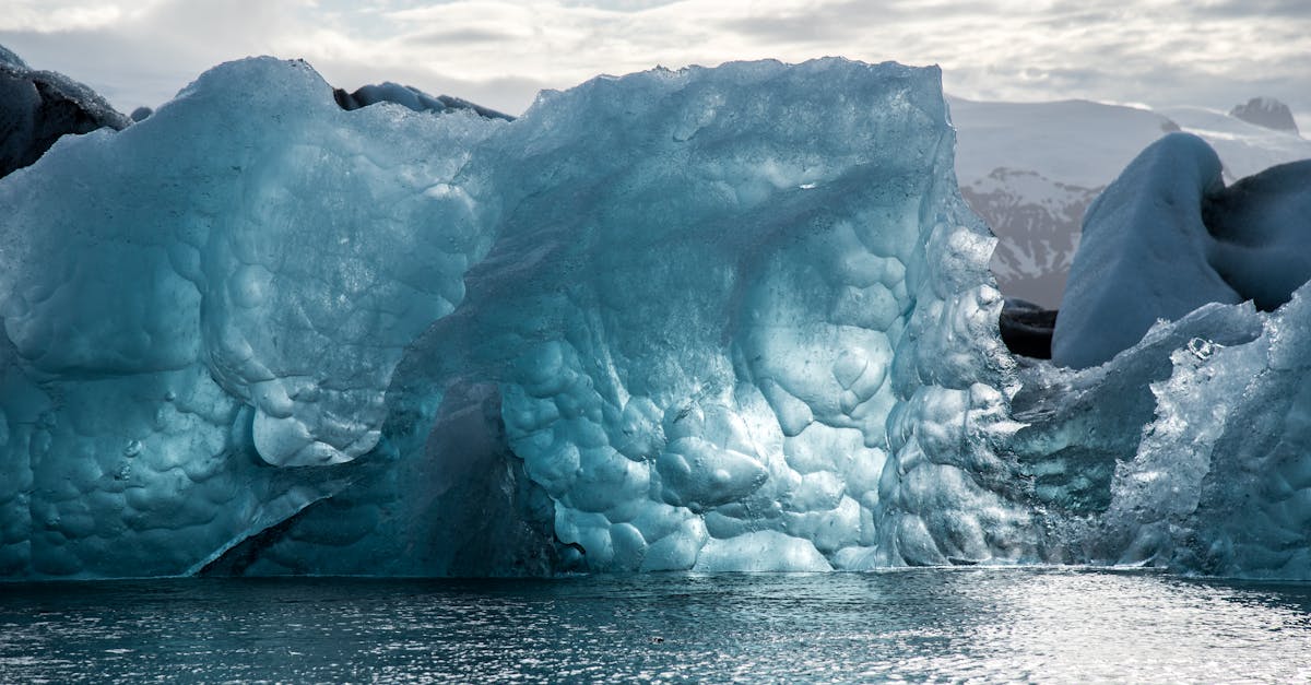 découvrez les enjeux cruciaux du changement climatique, ses impacts sur notre planète et les solutions innovantes pour contrer cette crise mondiale. engagez-vous pour un avenir durable.