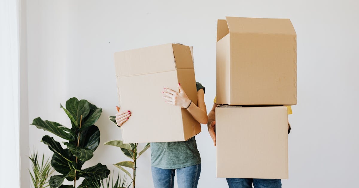 découvrez les enjeux et les avantages de la cohabitation, un mode de vie innovant qui favorise le partage, la convivialité et une vie économique harmonieuse. apprenez à vivre ensemble tout en respectant les espaces de chacun.