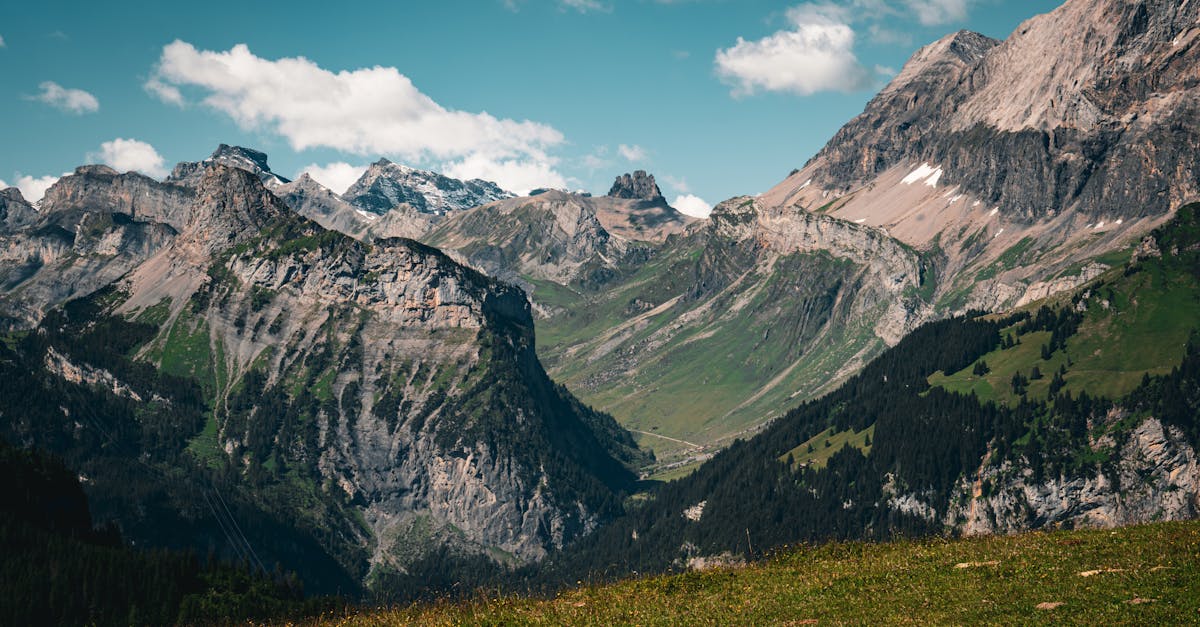 découvrez les avantages de l'eco-cohabitation, un mode de vie durable qui favorise le partage des ressources, la réduction des déchets et la création de communautés solidaires. apprenez comment vivre en harmonie avec l'environnement tout en enrichissant votre vie sociale.