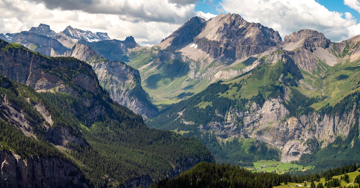 découvrez l'eco-cohabitation, une approche innovante qui favorise le partage d'espace et de ressources tout en respectant l'environnement. apprenez à vivre de manière durable avec vos voisins grâce à des pratiques écologiques et solidaires, et participez à la création de communautés plus vertes.