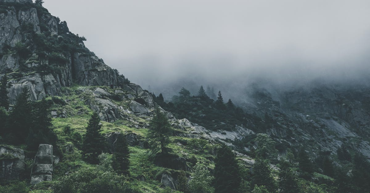 découvrez comment la gouvernance écologique transforme nos sociétés en intégrant des pratiques durables et en respectant l'environnement. explorez les enjeux, les stratégies et les initiatives pour un avenir plus vert.