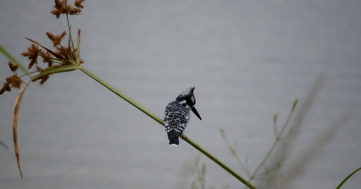 découvrez notre charte environnementale, un engagement fort pour la protection de la planète. apprenez comment nous œuvrons pour la durabilité, la réduction des déchets et la préservation de la biodiversité.