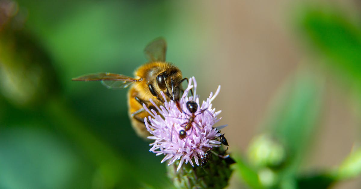 bénéficiez d'une consultation environnementale experte pour évaluer l'impact de vos projets sur l'environnement. nos professionnels vous accompagnent dans la mise en conformité avec les réglementations et l'optimisation de vos pratiques durables.