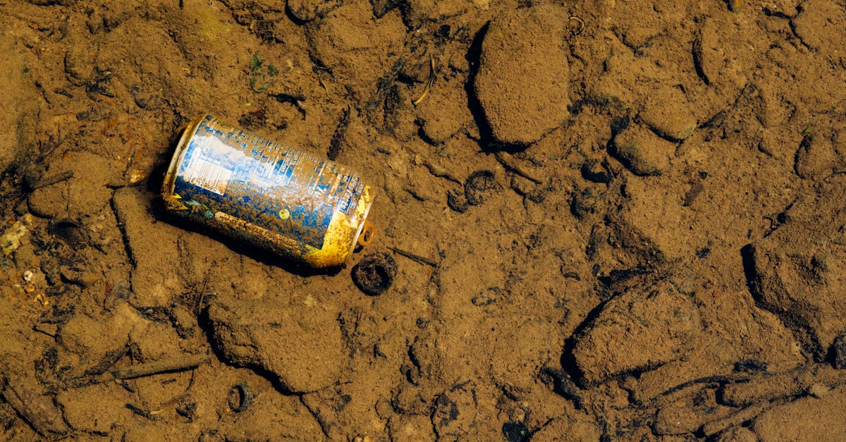 découvrez l'importance de l'évaluation de l'impact environnemental pour protéger notre planète. apprenez comment cette démarche aide à minimiser les effets néfastes des projets sur la nature, favorise la durabilité et engage les parties prenantes dans une approche éthique de développement.