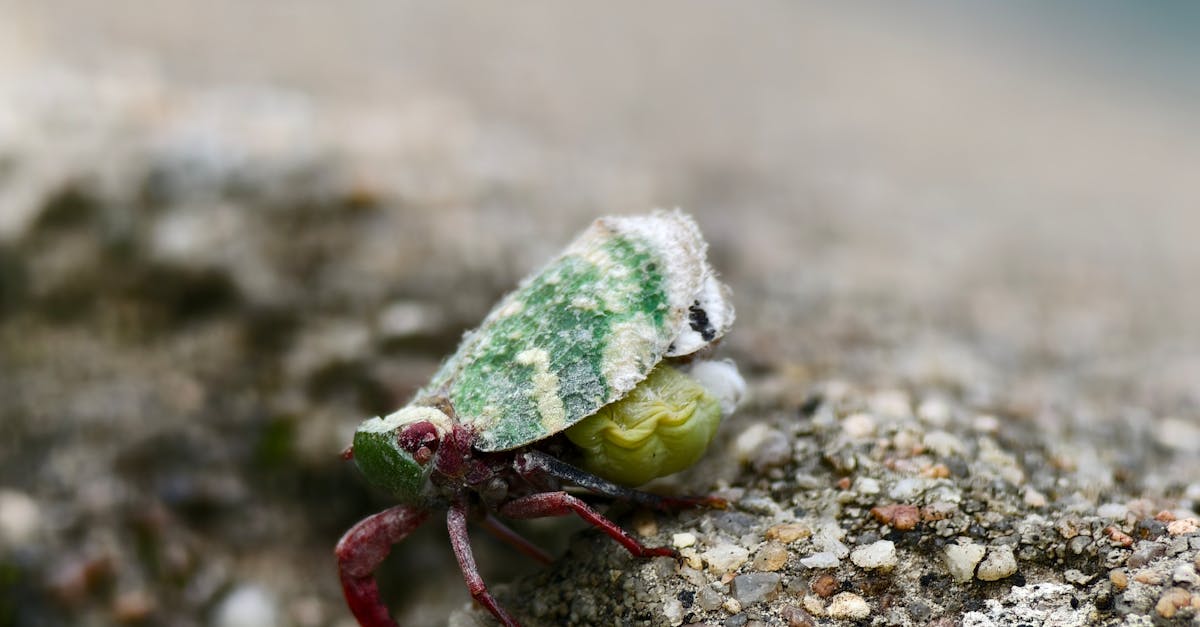 découvrez les politiques environnementales et leur impact sur la durabilité, la protection de la biodiversité et la lutte contre le changement climatique. informez-vous sur les initiatives, les réglementations et les actions mises en place pour préserver notre planète.