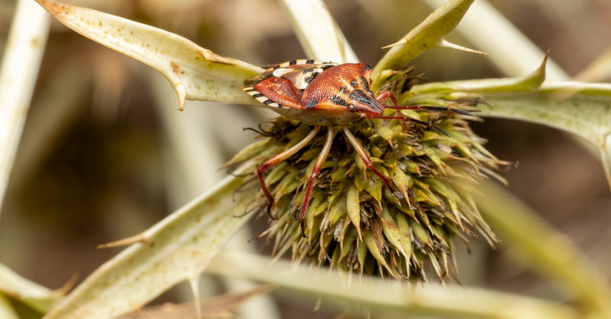 découvrez nos politiques environnementales visant à promouvoir un développement durable, à protéger la biodiversité et à réduire notre empreinte carbone. engagez-vous avec nous pour un avenir plus vert et responsable.
