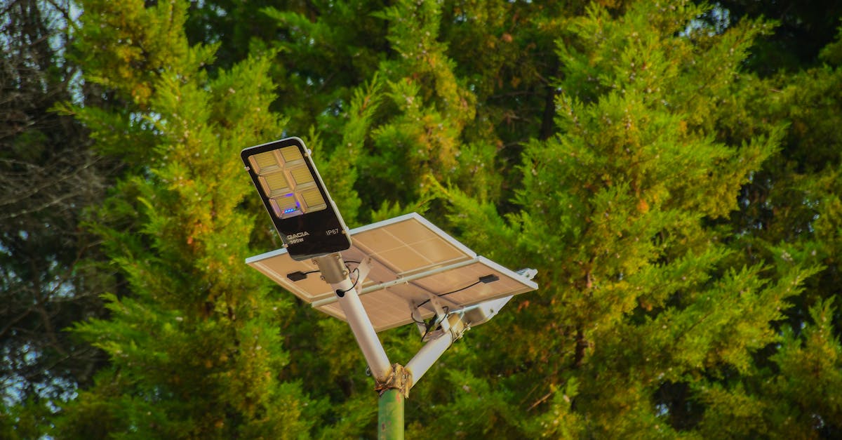 découvrez les dernières innovations en matière de technologies vertes qui transforment notre avenir. explorez des solutions durables et respectueuses de l'environnement pour un monde plus propre et plus responsable.