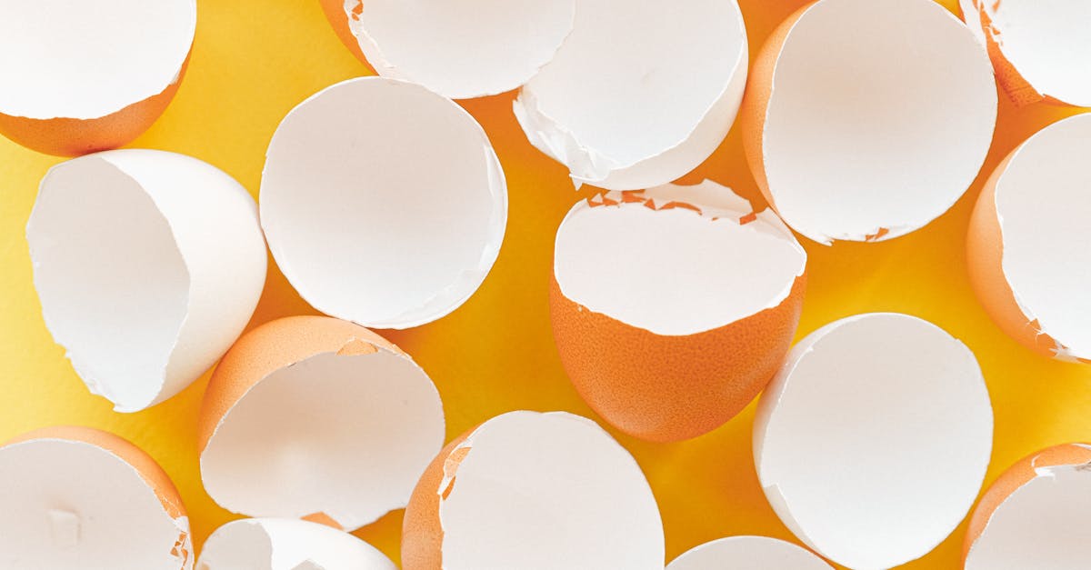 découvrez comment la gestion des déchets organiques peut contribuer à la durabilité environnementale. apprenez les méthodes de recyclage, de compostage et d'autres pratiques pour réduire votre empreinte écologique tout en enrichissant votre sol.