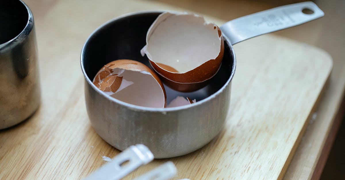 découvrez l'importance des déchets organiques pour l'environnement. apprenez comment les recycler, réduire votre empreinte écologique et contribuer à la durabilité grâce à une gestion responsable des déchets organiques.