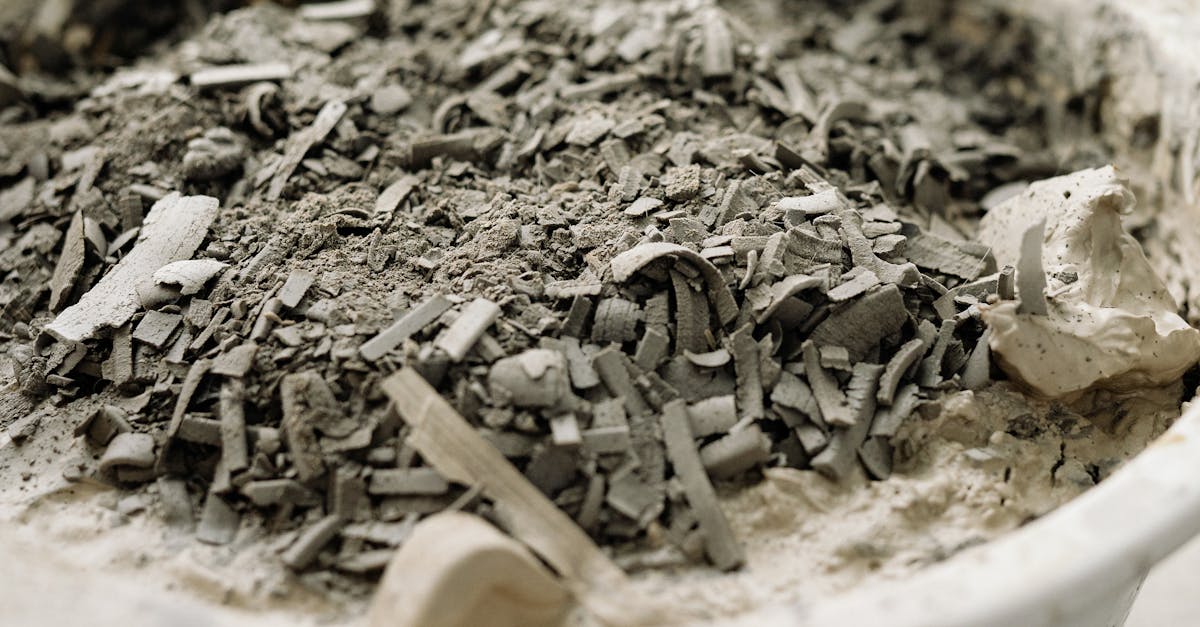 découvrez comment gérer efficacement les déchets organiques pour réduire votre empreinte écologique. apprenez des techniques de compostage et des conseils pour transformer vos déchets alimentaires en ressources bénéfiques pour votre jardin.