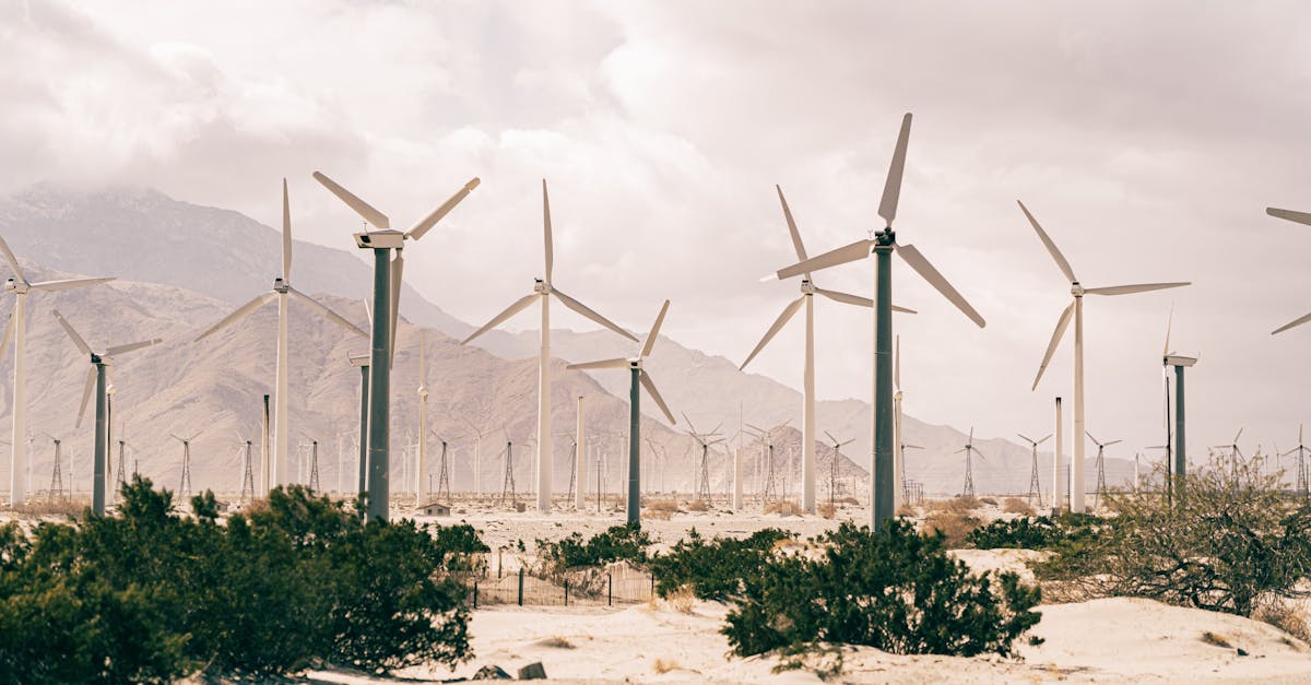 découvrez les ressources renouvelables, une solution durable pour un avenir écologique. apprenez comment l'énergie solaire, éolienne et hydraulique transforme notre manière de consommer et préserve notre planète.