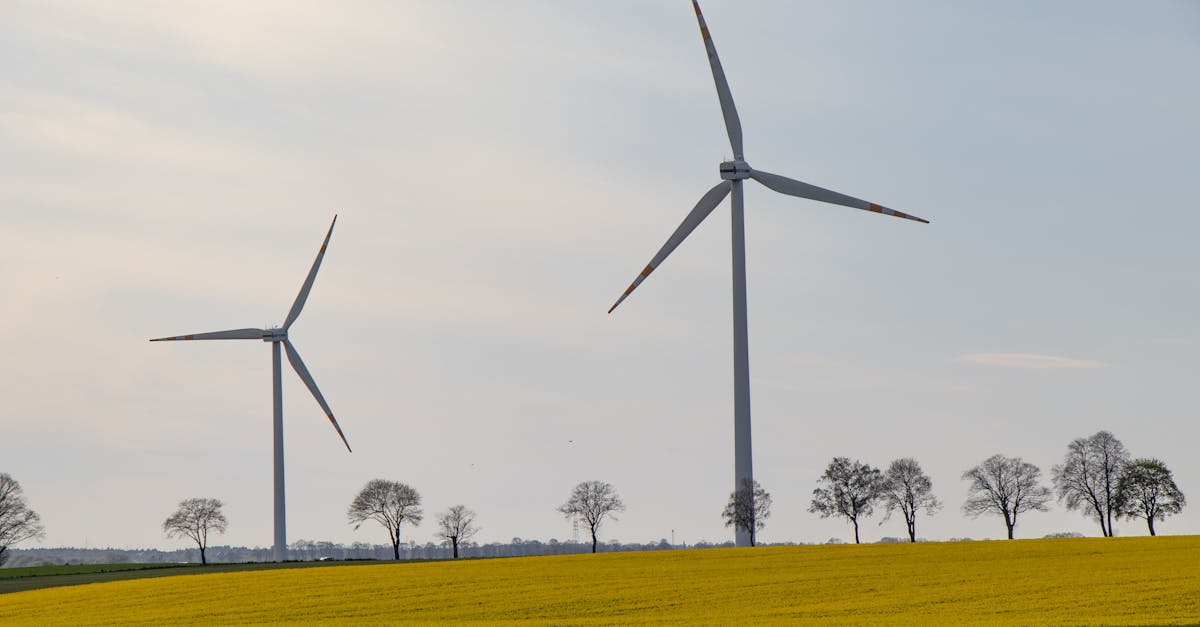 découvrez l'importance des déclarations de durabilité pour les entreprises et les consommateurs. explorez comment ces engagements contribuent à un avenir plus responsable et respectueux de l'environnement.