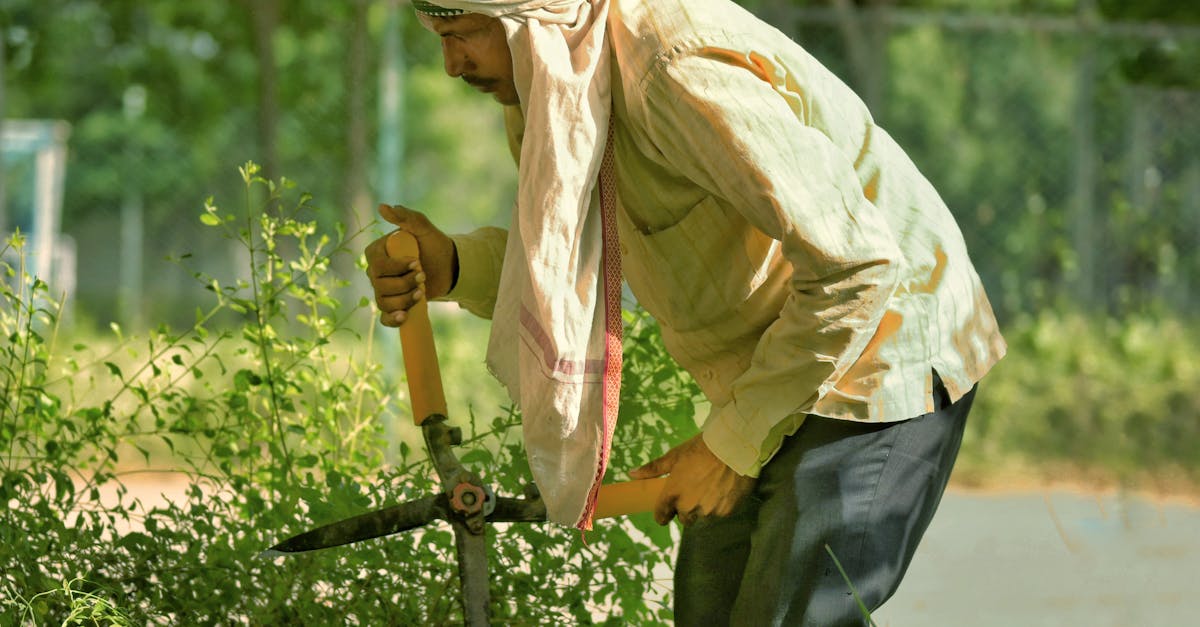 découvrez nos déclarations sur la durabilité : un engagement clair et transparent vers un avenir respectueux de l'environnement. explorez nos initiatives, nos objectifs et nos pratiques pour promouvoir une économie durable et responsable.