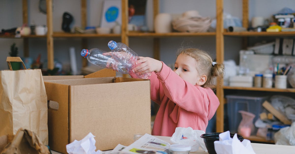 découvrez nos programmes de durabilité innovants qui visent à promouvoir un avenir plus vert. engagez-vous pour une planète plus saine grâce à nos initiatives écologiques, conseils et ressources pratiques sur la durabilité.