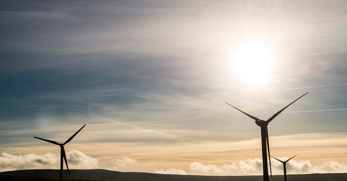découvrez l'importance de la durabilité dans notre monde moderne. apprenez comment adopter des pratiques écoresponsables pour préserver l'environnement et garantir un avenir meilleur. explorez des solutions durables pour chaque aspect de la vie quotidienne.