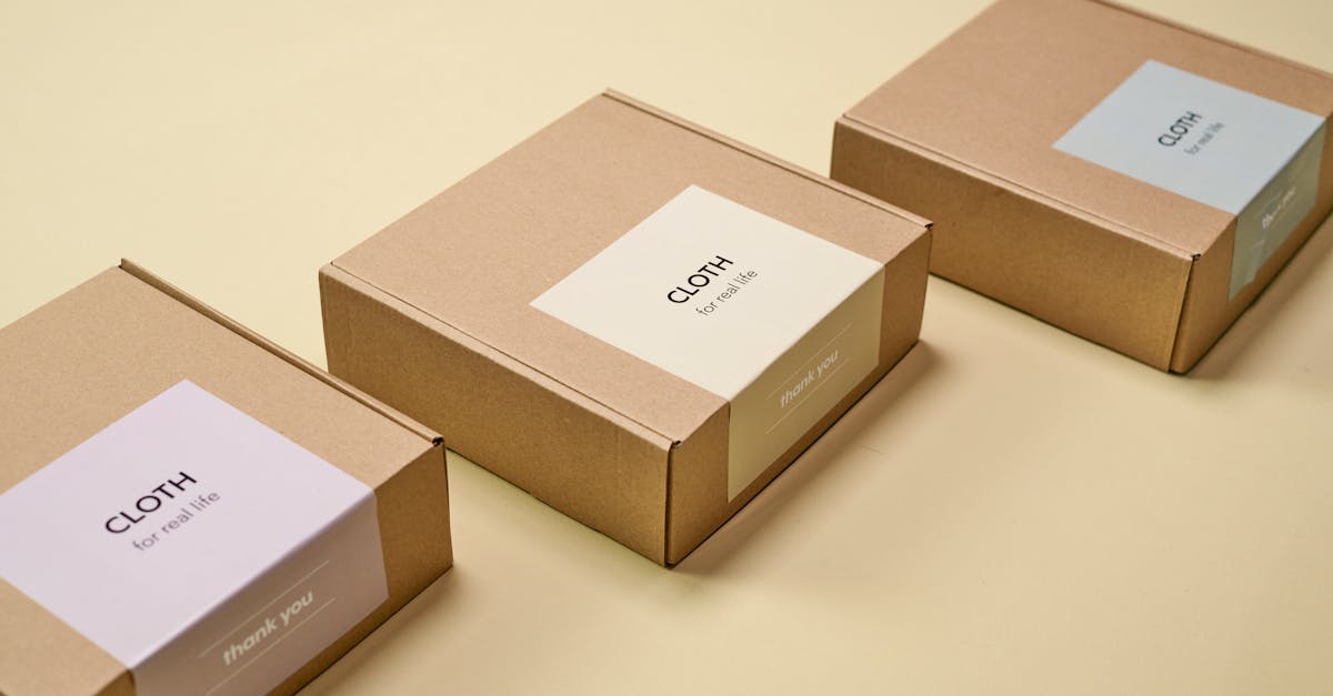 découvrez comment bâtir une entreprise durable et responsable, alliant performance économique et respect de l'environnement. explorez des stratégies innovantes pour intégrer la durabilité au cœur de votre modèle d'affaires.