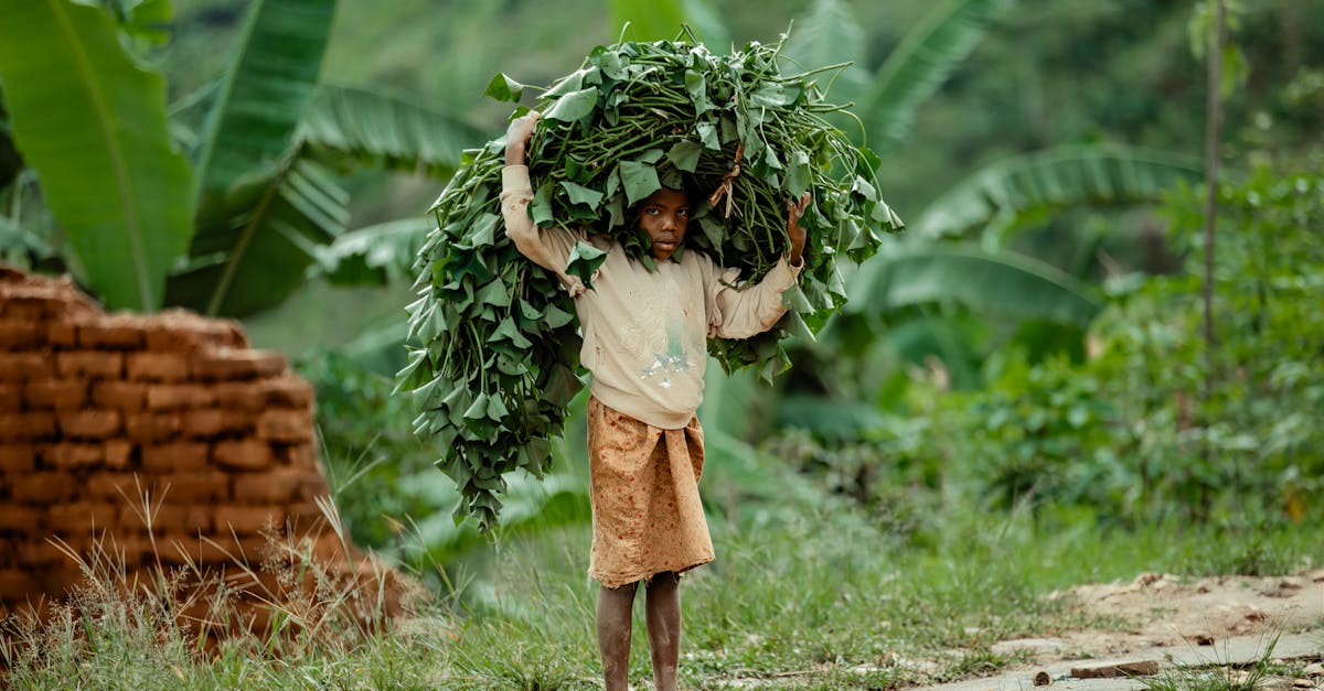 découvrez comment le développement communautaire durable transforme les collectivités grâce à des pratiques respectueuses de l'environnement, favorisant l'inclusion sociale et le bien-être économique. rejoignez le mouvement pour bâtir des communautés résilientes et prospères.