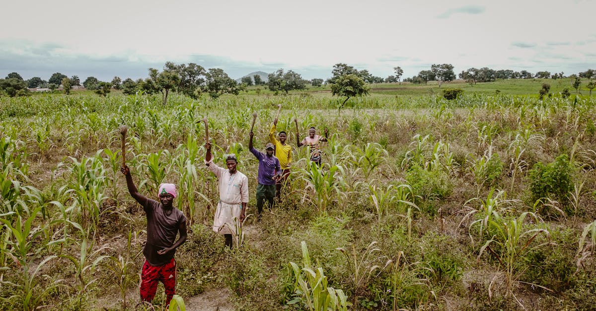 découvrez les clés du développement communautaire durable, qui favorise l'harmonie entre les êtres humains et leur environnement. apprenez comment bâtir des communautés résilientes et inclusives, en intégrant des pratiques responsables et respectueuses des ressources naturelles.