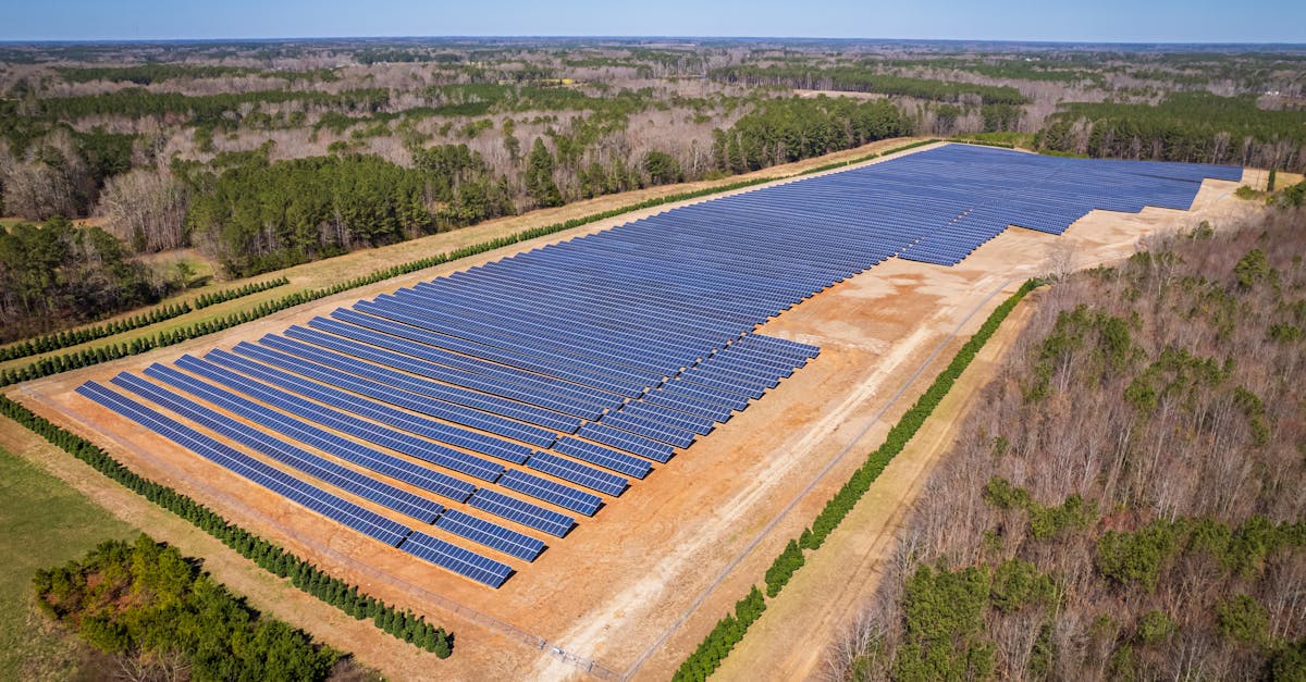 découvrez les enjeux du développement durable, une approche essentielle pour concilier croissance économique, préservation de l'environnement et équité sociale. engagez-vous pour un avenir meilleur!