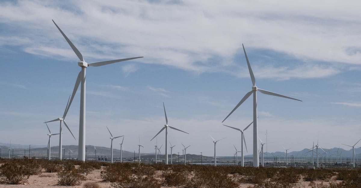 découvrez les enjeux du développement durable et apprenez comment concilier croissance économique, protection de l'environnement et équité sociale. explorez des solutions innovantes pour un avenir meilleur.