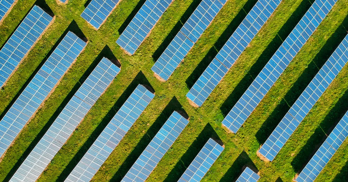 découvrez comment le développement durable transforme notre monde en alliant croissance économique, protection de l'environnement et justice sociale. explorez des solutions innovantes pour un avenir plus responsable.