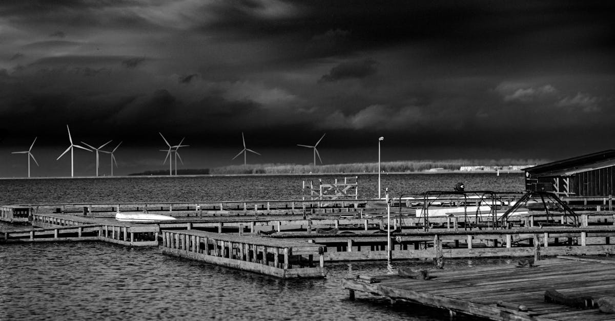 découvrez comment le financement durable révolutionne l'économie globale en offrant des solutions financières éthiques et responsables qui favorisent le développement durable tout en soutenant des projets respectueux de l'environnement.