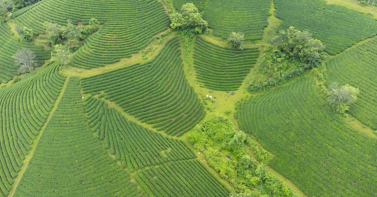 découvrez l'investissement durable : une approche éthique qui allie rentabilité et responsabilité environnementale. explorez comment investir de manière à soutenir des projets respectueux de l'environnement tout en générant des rendements financiers.