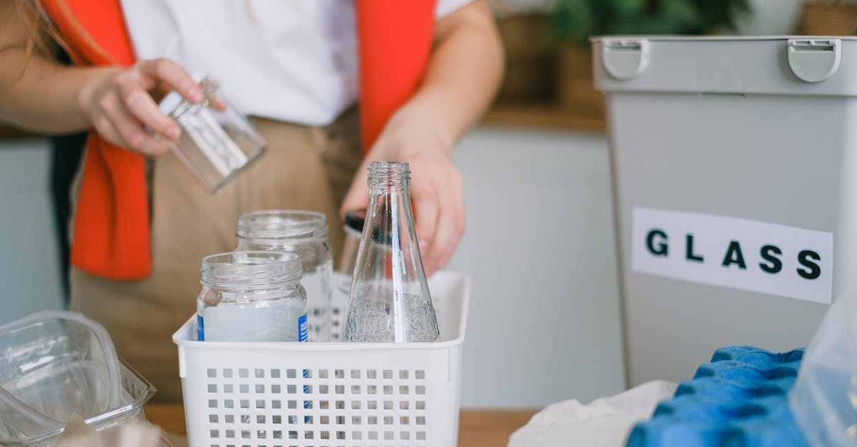 découvrez les pratiques durables qui peuvent transformer notre quotidien et préserver notre planète. apprenez comment intégrer des méthodes respectueuses de l'environnement dans votre style de vie et contribuez à un avenir plus vert.