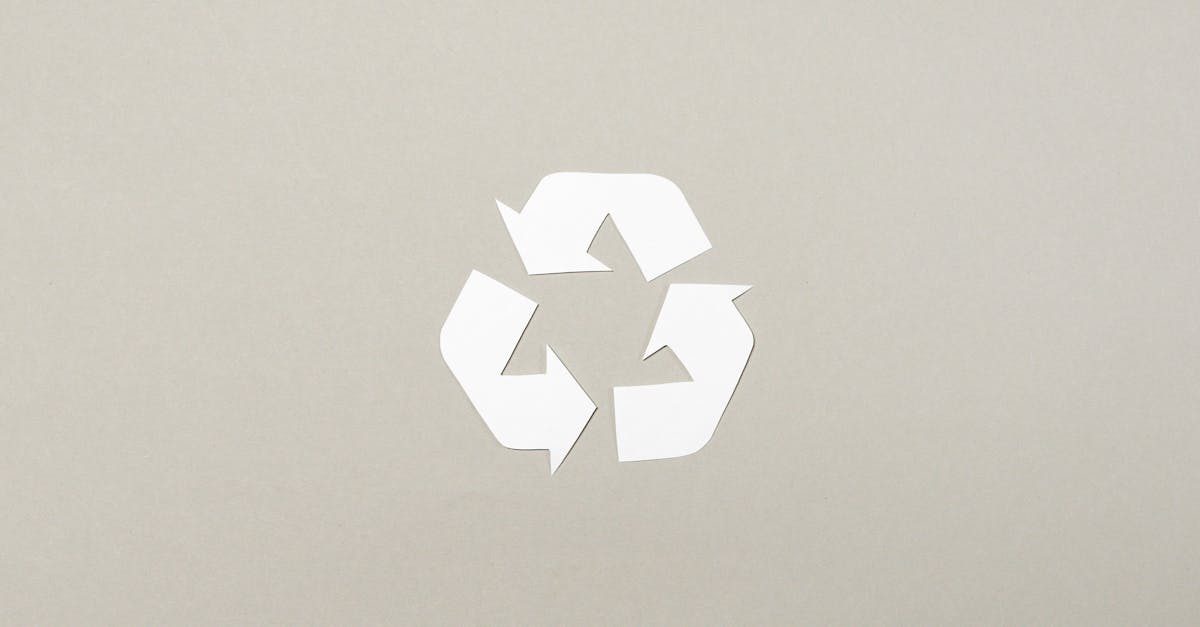 découvrez les meilleures pratiques durables pour un mode de vie respectueux de l'environnement. apprenez comment intégrer des habitudes écologiques au quotidien et contribuer à la préservation de notre planète.