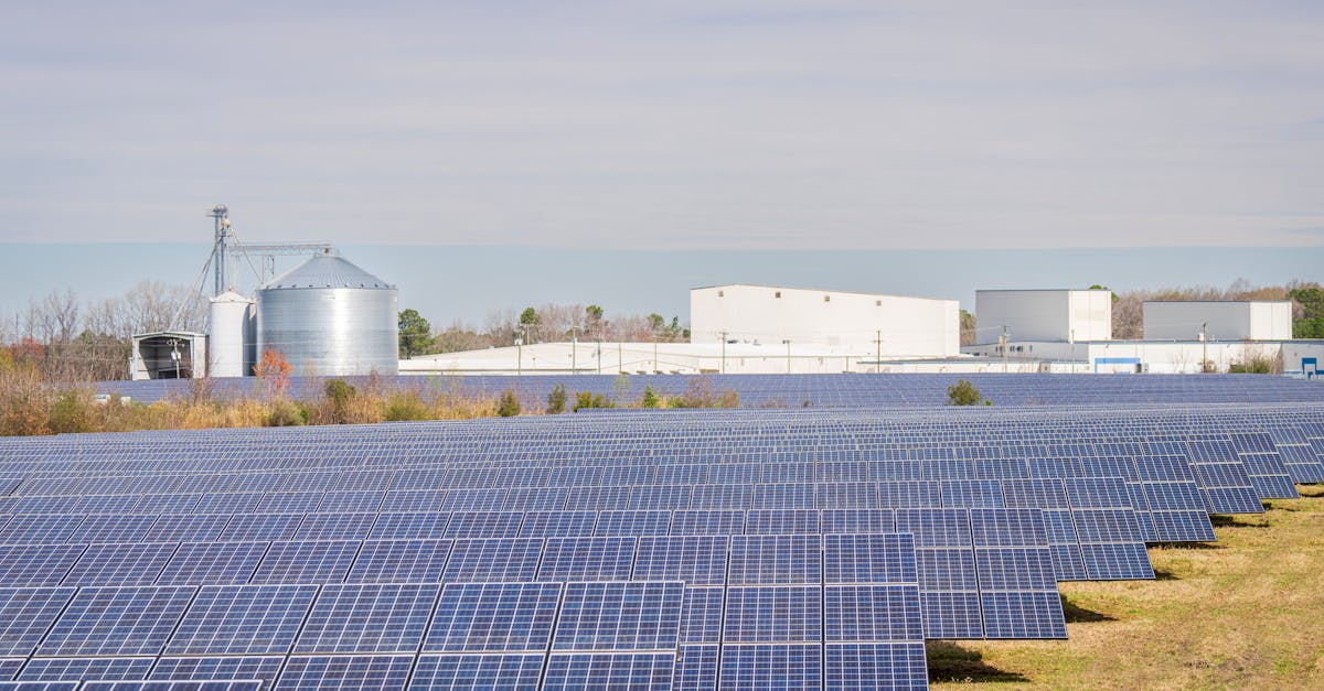 découvrez les ressources durables, un choix essentiel pour un avenir respectueux de l'environnement. explorez comment ces matériaux renouvelables et écologiques peuvent transformer notre manière de consommer et de produire, tout en préservant notre planète pour les générations futures.
