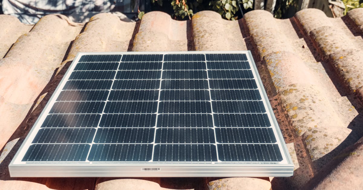 découvrez comment les ressources durables contribuent à un avenir meilleur. explorez les solutions écologiques pour préserver notre planète tout en répondant aux besoins des générations actuelles et futures.