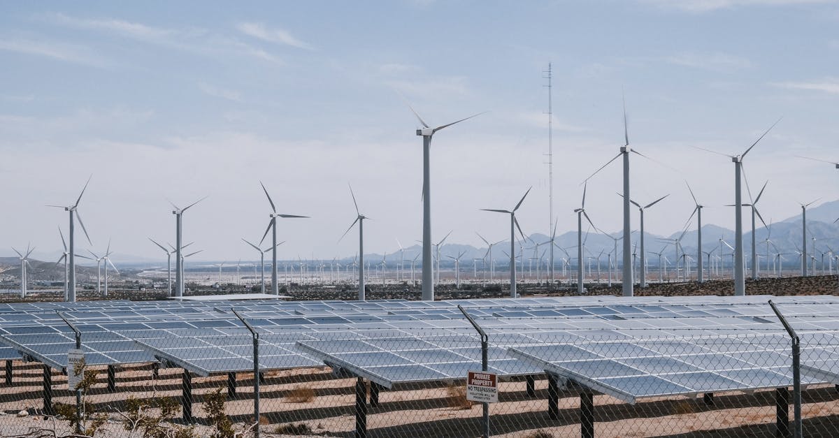 découvrez les ressources durables : un engagement essentiel pour préserver notre planète. apprenez comment utiliser efficacement les ressources renouvelables et adopter des pratiques respectueuses de l'environnement.
