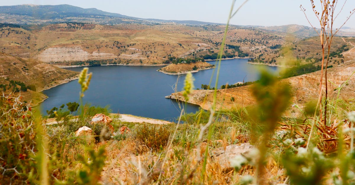 découvrez l'importance de la couverture végétale pour l'écosystème, son rôle dans la lutte contre l'érosion et son impact sur la biodiversité. apprenez comment préserver et promouvoir une couverture végétale saine et durable.